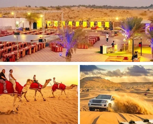 Luxury Desert Camp VIP Seating